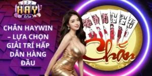 Luật chơi cơ bản của Chắn Haywin