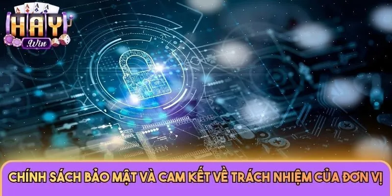 Chính sách bảo mật và cam kết về trách nhiệm của đơn vị Haywin 