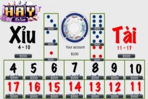 Dựa vào kết quả này, hệ thống sẽ tự động xác định thắng hoặc thua và thanh toán tiền thưởng theo đúng tỷ lệ của từng cửa cược quy luật tài xỉu Haywin
